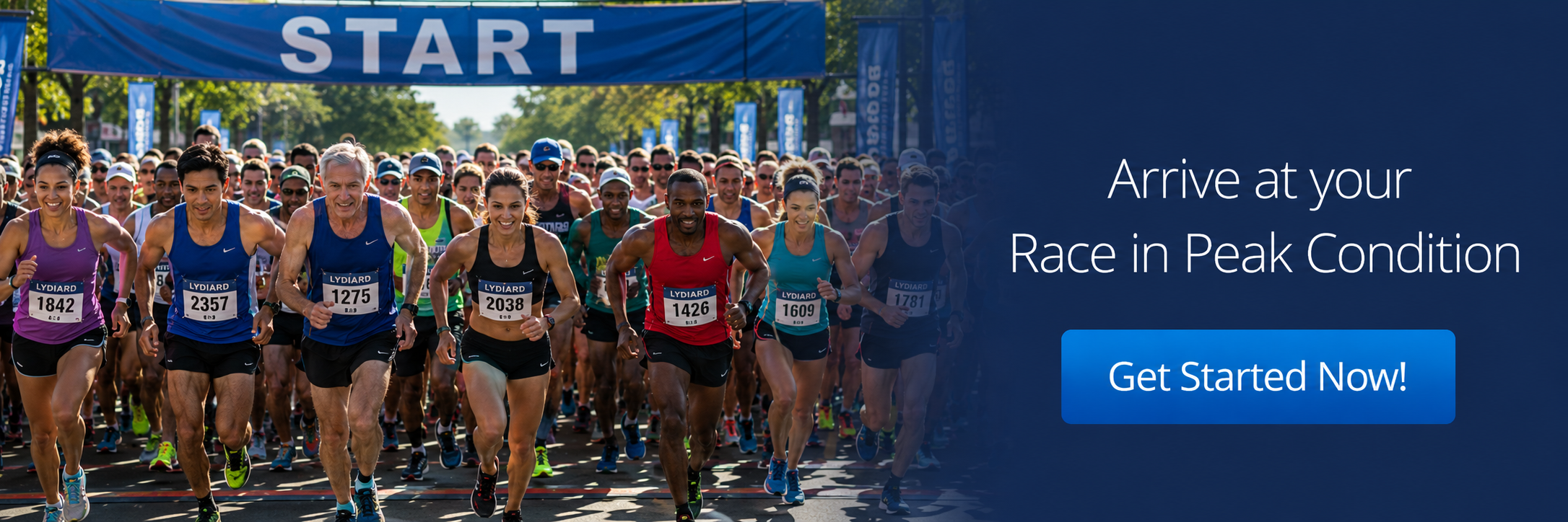 Take the guesswork out of training